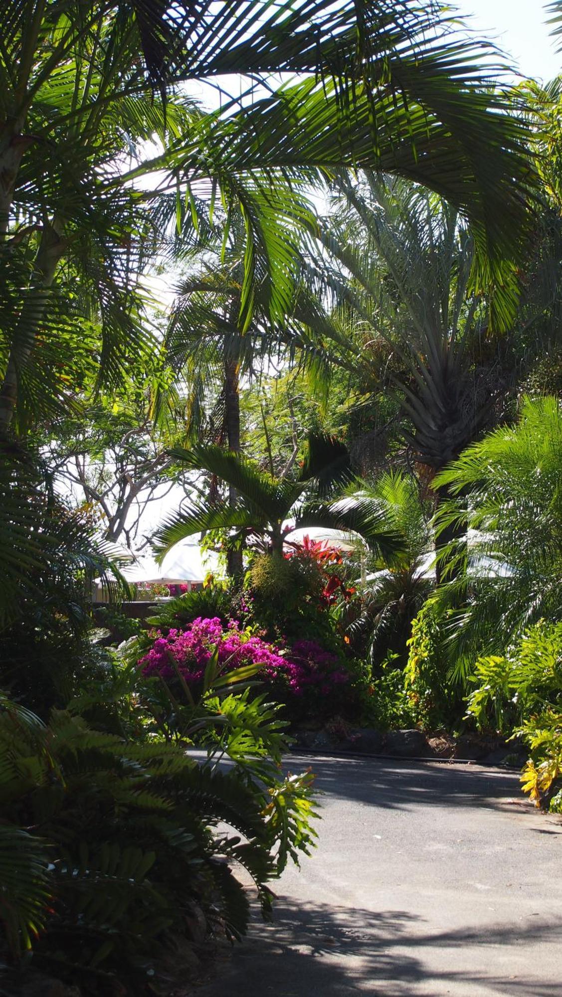 Palm Bay Resort Long Island Exterior foto